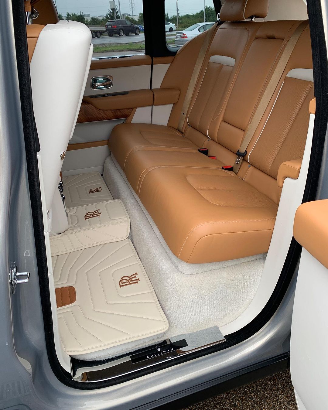 Opulent Monarch - Image 3